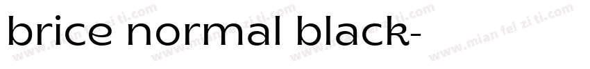brice normal black字体转换